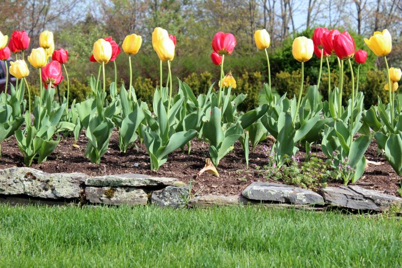 Edging Stones Installation