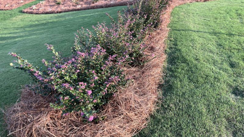 Pine Bark Landscaping