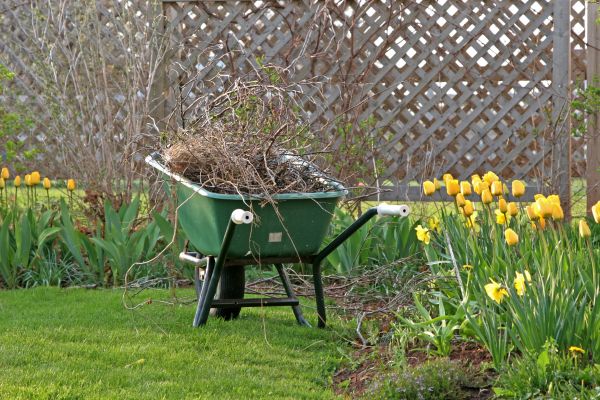 Flower Bed Cleanup Service in Apache Junction