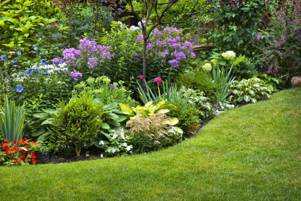Flower Bed Service in Apache Junction