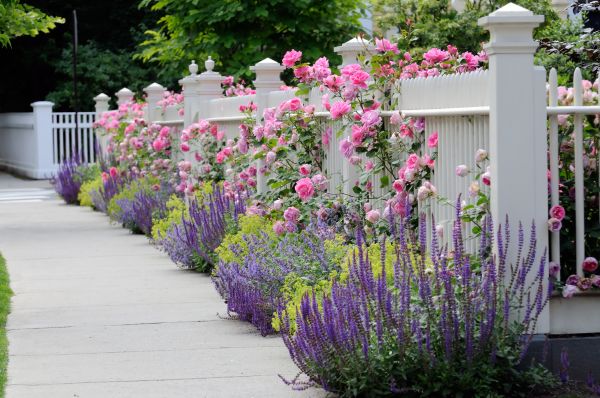 Garden Handyman Service in Apache Junction