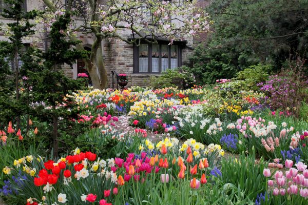 Garden Maintenance Service in Apache Junction