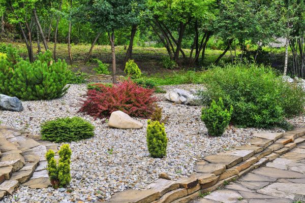 Rock Landscaping in Apache Junction