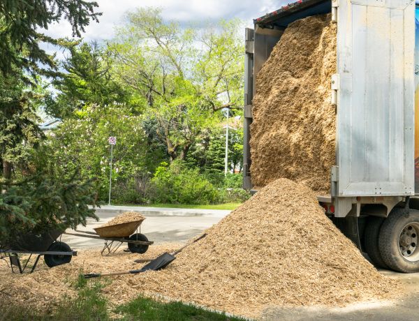 Wood Chips Delivery in Apache Junction