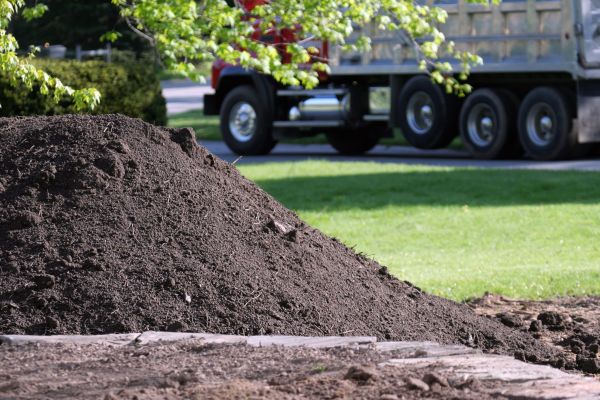 Yard Dirt Delivery in Apache Junction