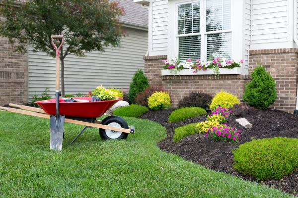 Landscape Maintenance Service in Apache Junction