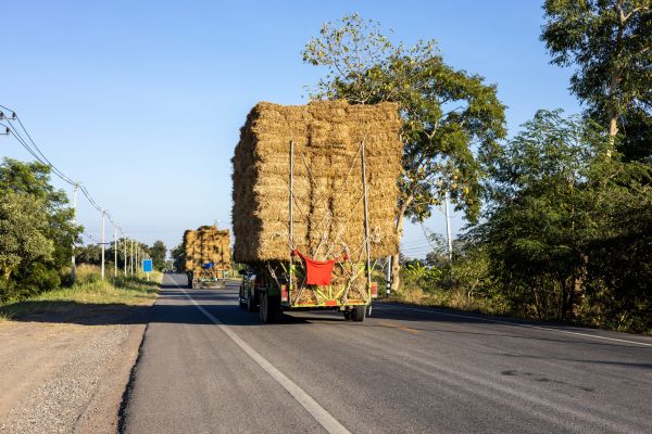 Pine Straw Delivery in Apache Junction