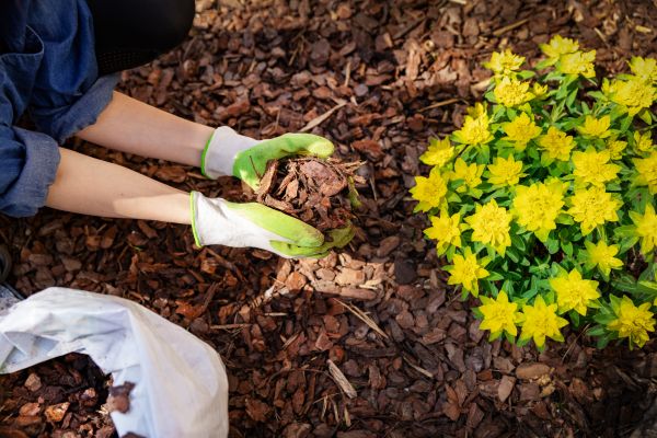 Garden Mulching in Apache Junction