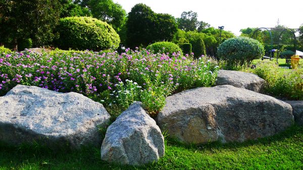 Boulder Landscaping in Apache Junction