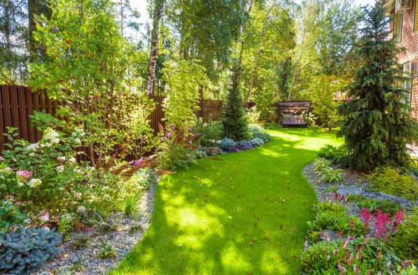Residential Landscape Service in Apache Junction