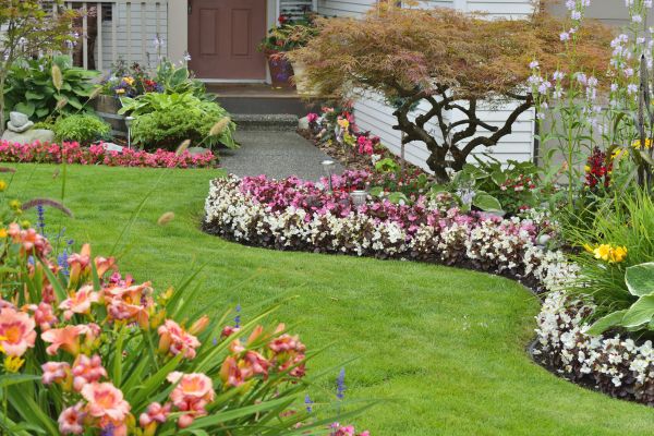Perennial Landscaping in Apache Junction