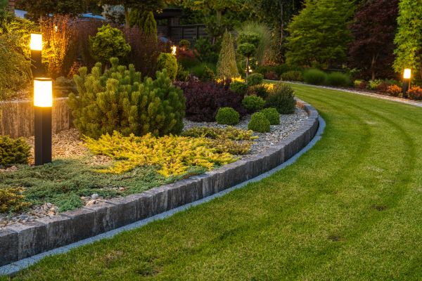 Garden Repair Service in Apache Junction