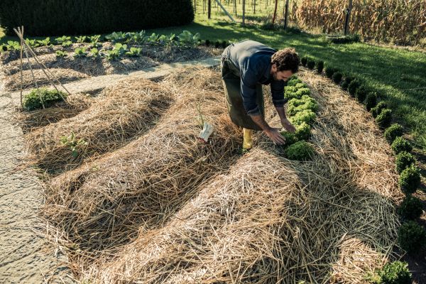 Straw Mulching Service in Apache Junction