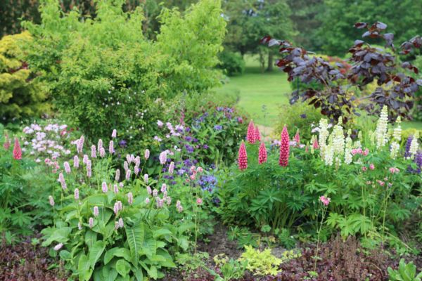 Flower Bed Planting in Apache Junction