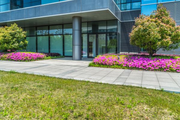 Commercial Gardening in Apache Junction