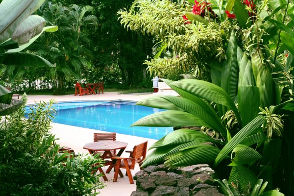 Tropical Garden Landscaping in Apache Junction