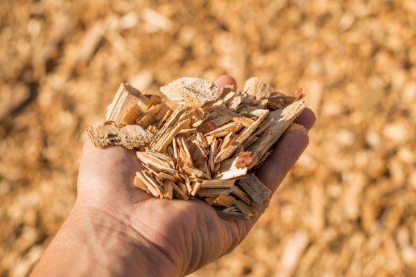 Wood Chips Spreading in Apache Junction