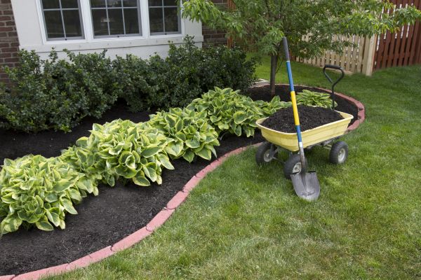 Landscape Mulching in Apache Junction