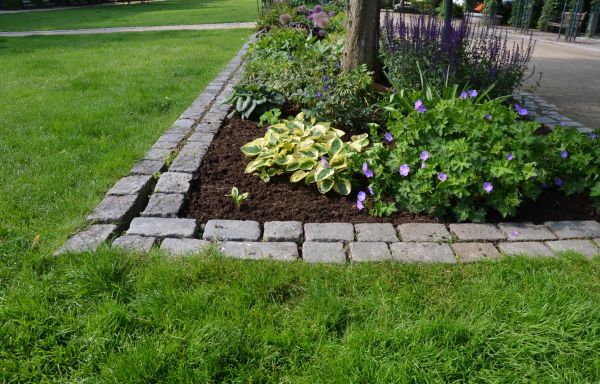 Flower Bed Mulching in Apache Junction