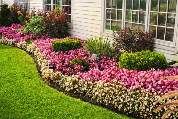 House Landscaping in Apache Junction