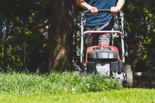 Garden Trimming Service in Apache Junction