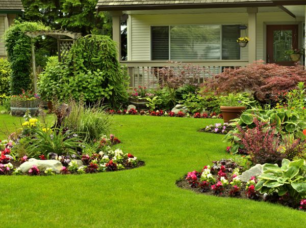 Flower Garden Planting in Apache Junction