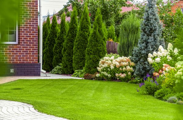 Spring Landscaping in Apache Junction
