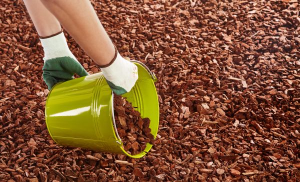 Wood Chip Landscaping in Apache Junction