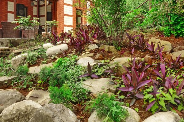 Rock Garden Landscaping in Apache Junction