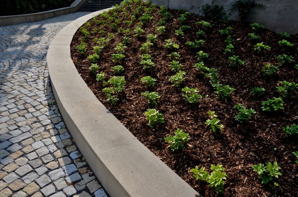 Commercial Mulching in Apache Junction